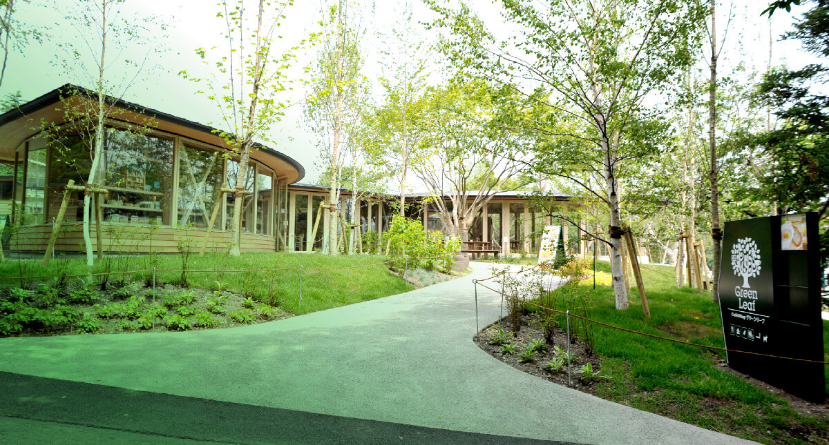 グリーンリーフ