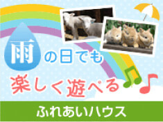 雨の日でも楽しく遊べるふれあいハウス