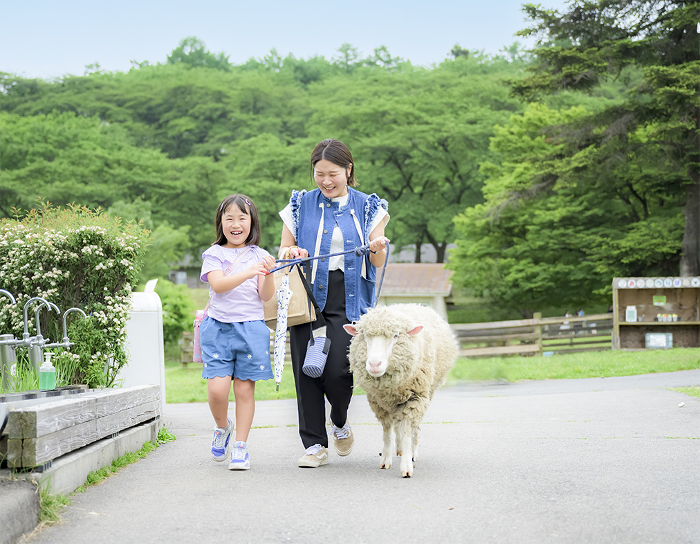 ひつじ・やぎとおさんぽ | 牧場で何しよう？ | 伊香保グリーン牧場