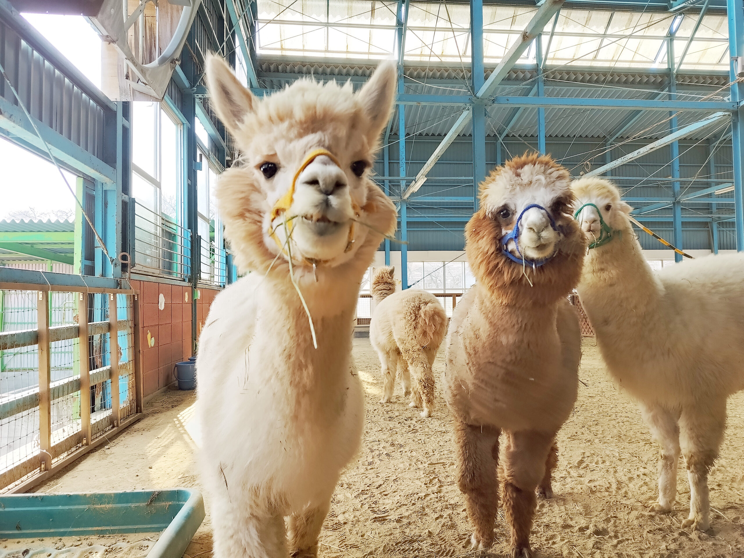 5832f1fc15d4f38ddd93ad7b9ba166 5832f1fc15d4f38ddd93ad7b9ba166